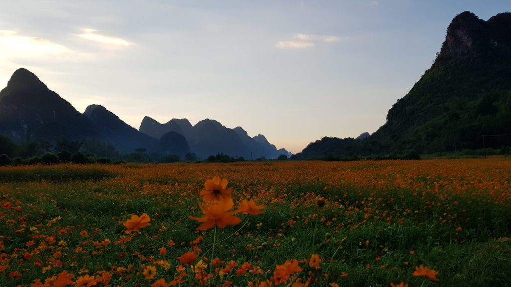 Yangshuo 4
