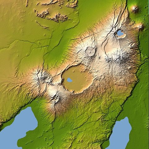 Ngorongo